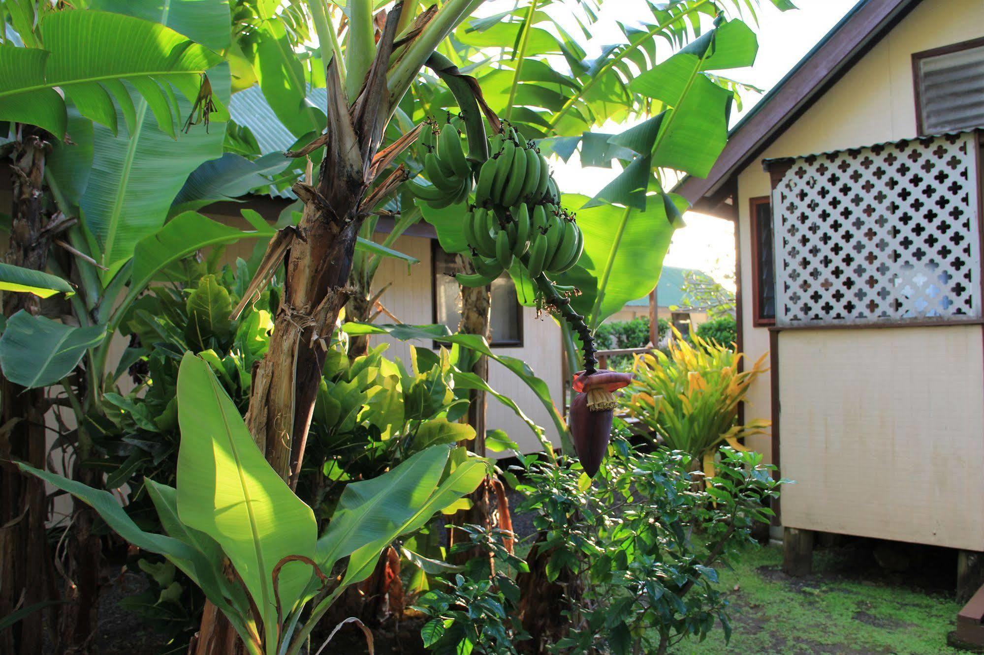Willa Aroko Bungalows Avarua Zewnętrze zdjęcie